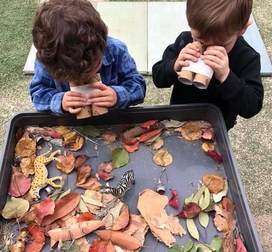 Cultivating the Best Disposition for Learning: A Guide to Nurturing Curiosity and Growth